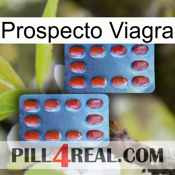 Prospecto Viagra 05.jpg